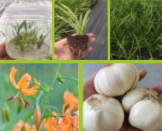 優(yōu)中選優(yōu)